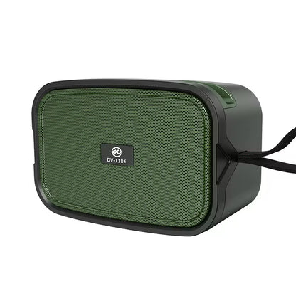 Bleutoofh DV-1186
