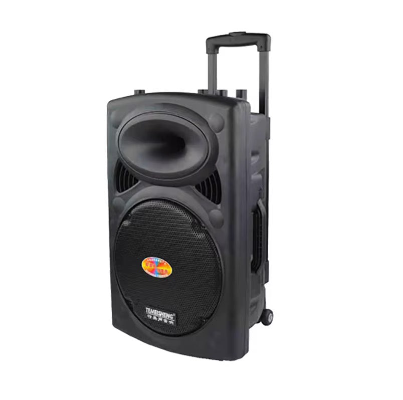 Bluetooth D12