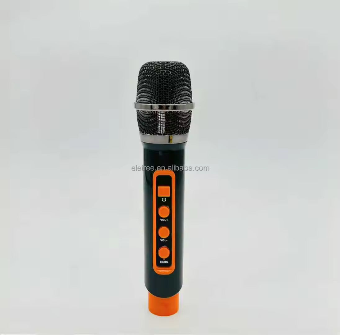 BOOM BOX PRO AVEC 2 MICROPHONES SANS FIL