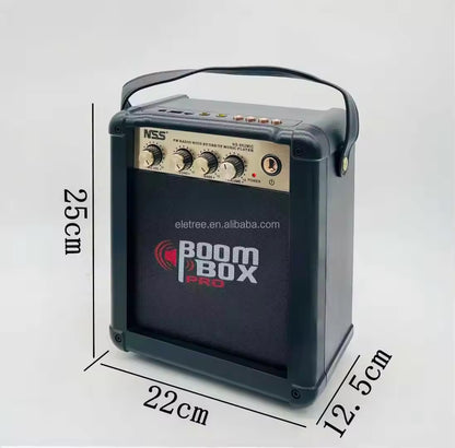 BOOM BOX PRO AVEC 2 MICROPHONES SANS FIL